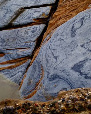 Nature WS - 09.jpg